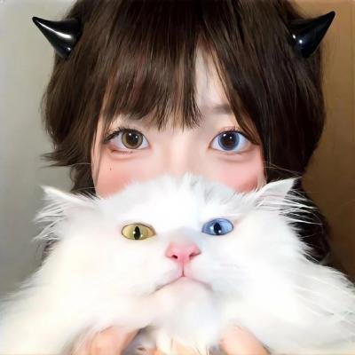 蒂米·菲列：错已铸成